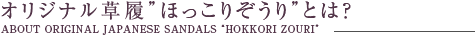 オリジナル草履”ほっこりぞうり”とは？